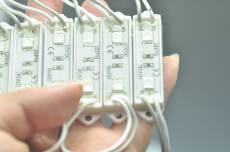 (image for) 5050 SMD LED Modules 5050 2 LED Modules 45x12MM 12V 0.5W Waterproof IP65 Modules