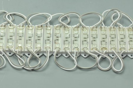 (image for) 5050 SMD LED Modules 5050 2 LED Modules 45x12MM 12V 0.5W Waterproof IP65 Modules