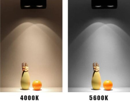 (image for) 4PCS Pack 7W/10W 110V 220V AC Square LED Downlight Anti-glare Single Head LED Spotlight for Living Room Home Ceiling Aisle Lighting
