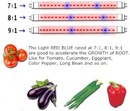 (image for) Plant Growth RED:BLUE /660nm:460nm LED Grow Light SMD2835 120LEDs 12V 24W Per Meter Strip