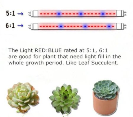 (image for) Plant Growth RED:BLUE /660nm:460nm LED Grow Light SMD5050 60LEDs 12V 14.4W Per Meter Strip