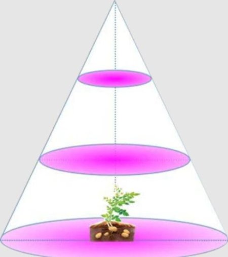 (image for) Plant Growth RED:BLUE /660nm:460nm LED Grow Light SMD5050 60LEDs 12V 14.4W Per Meter Strip