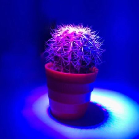 (image for) 12W LED Grow Light Lamp E27 Base 2 Band Wavelenth Mix 12 LED Growing Bulbs For Stocky Plants At Seedlings Stage of Growth, Germinating Vegetable Seeds, Mini Potted Succulent/Faux Plant