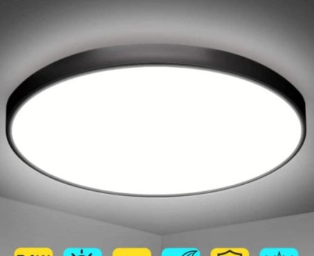 (image for) 2 Pack 12 Inch 24W Flush Mount LED Ceiling Light 2800 LM Black Round LED Ceiling Lamp