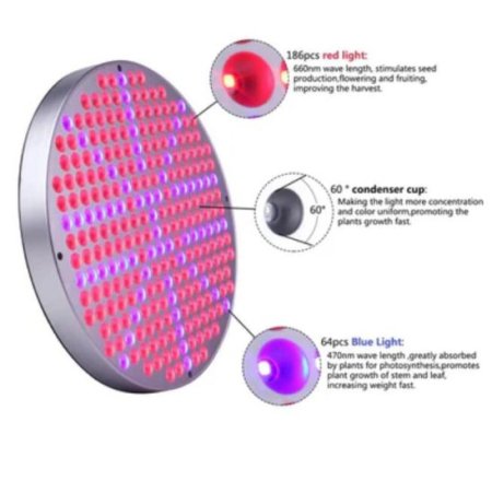 (image for) LED Grow Light 50W AC90~265V 250LEDs Round Plant Growing Lamp Red and Blue LED Chips Indoor Greenhouse Plant Grow Indoor Plants LED Lamp