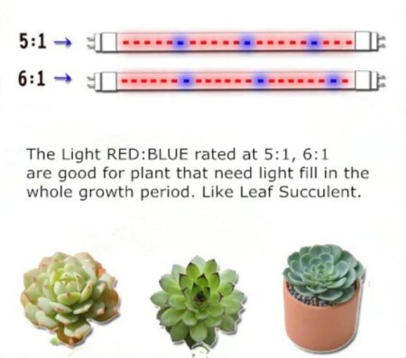 (image for) Plant Growth RED:BLUE /660nm:460nm LED Grow Light SMD2835 60LEDs 12V 12W Per Meter Strip