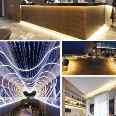 (image for) 16.4ft/5M DC12V 5*13mm LED Waterproof Flexible Silicone Neon LED Strip with 300LED SMD3528 LED Light