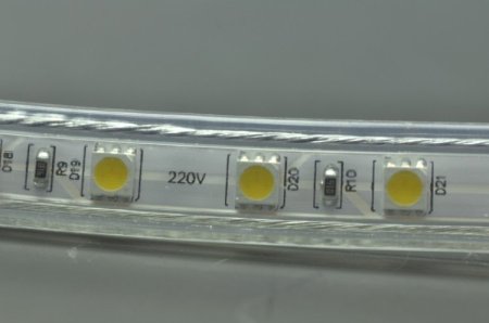 (image for) 5050 RGB 110V 120V 220V 230V LED Strip Rope Light 12MM 60LED 1M SMD 5050 RGB LED Strip Lights