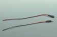 (image for) Dc Connect Male Female LED Power Supply DC Cable Cord For LED Light
