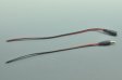 (image for) Dc Connect Male Female LED Power Supply DC Cable Cord For LED Light