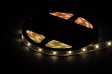 (image for) RGB White LED Strip light IP68 5050SMD Color change with white color 5meter(16.4ft) 300LEDs