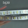 (image for) LED Strip Light SMD5630 Flexible 12V Strip Light 5 meter(16.4ft) 300LEDs