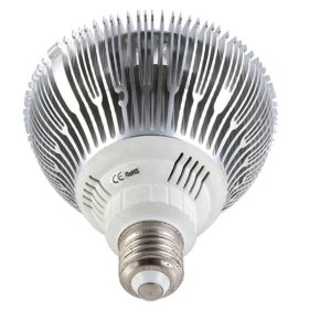 12W (12x1W) PAR38 LED Lamp with E27 Edison Screw Base 90W Equivalent 100-240V AC Silver Housing Indoor Type
