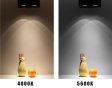 (image for) 4PCS Pack 7W/10W 110V 220V AC Square LED Downlight Anti-glare Single Head LED Spotlight for Living Room Home Ceiling Aisle Lighting