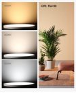 (image for) 2 Pack 12 Inch Modern LED Ceiling Light Flush Mount 24W Kitchen Bedroom Bathroom Lamp