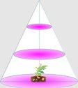 (image for) Plant Growth RED:BLUE /660nm:460nm LED Grow Light SMD2835 120LEDs 12V 24W Per Meter Strip