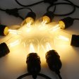 (image for) 1Pack - Dimmable Waterproof LED Outdoor String Lights - Hanging, 2W Edison Bulbs - 48Ft Commercial Lights for Decor for Patio, Backyard, Garden, S14 Black - Warm White