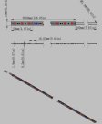 (image for) Plant Growth RED:BLUE /660nm:460nm LED Grow Light SMD5050 60LEDs 12V 14.4W Per Meter Strip