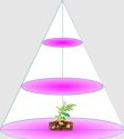 (image for) Plant Growth RED:BLUE /660nm:460nm LED Grow Light SMD5050 60LEDs 12V 14.4W Per Meter Strip