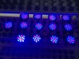 (image for) 12W LED Grow Light Lamp E27 Base 2 Band Wavelenth Mix 12 LED Growing Bulbs For Stocky Plants At Seedlings Stage of Growth, Germinating Vegetable Seeds, Mini Potted Succulent/Faux Plant