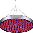 (image for) LED Grow Light 50W AC90~265V 250LEDs Round Plant Growing Lamp Red and Blue LED Chips Indoor Greenhouse Plant Grow Indoor Plants LED Lamp
