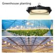 (image for) High Power IP65 Full Spectrum LED Grow Flood Lights for Hydroponic and Medical Plant Cultivation