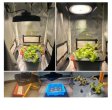 (image for) High Power IP65 Full Spectrum LED Grow Flood Lights for Hydroponic and Medical Plant Cultivation