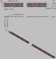 (image for) Plant Growth RED:BLUE /660nm:460nm LED Grow Light SMD3528 240LEDs 12V 24W Per Meter Strip