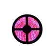 (image for) Plant Growth RED:BLUE /660nm:460nm LED Grow Light SMD3528 240LEDs 12V 24W Per Meter Strip