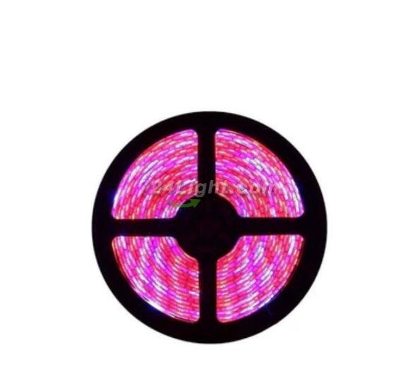 (image for) Plant Growth RED:BLUE /660nm:460nm LED Grow Light SMD5050 120LEDs 12V 28.8W Per Meter 15mm Width Strip