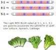 (image for) Plant Growth RED:BLUE /660nm:460nm LED Grow Light SMD5050 30LEDs 12V 7.2W Per Meter Strip