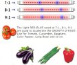 (image for) Plant Growth RED:BLUE /660nm:460nm LED Grow Light SMD5050 30LEDs 12V 7.2W Per Meter Strip