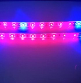 Plant Growth RED:BLUE /660nm:460nm LED Grow Light SMD2835 60LEDs 12V 12W Per Meter Strip