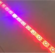 (image for) Plant Growth RED:BLUE /660nm:460nm LED Grow Light SMD2835 60LEDs 12V 12W Per Meter Strip