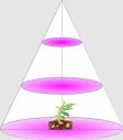 (image for) Plant Growth RED:BLUE /660nm:460nm LED Grow Light SMD2835 60LEDs 12V 12W Per Meter Strip