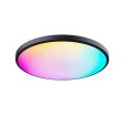 (image for) 2 Pack 24W 12'' Smart RGBCW Ceiling Light Fixtures RGB Color Changing, 2700K-6500K Adjustable with Dimmable Brightness, Compatible with Alexa/Google Home/APP Control WiFi Light for Bedroom/Kid's Room/Party