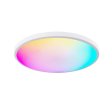 (image for) 2 Pack 24W 12'' Smart RGBCW Ceiling Light Fixtures RGB Color Changing, 2700K-6500K Adjustable with Dimmable Brightness, Compatible with Alexa/Google Home/APP Control WiFi Light for Bedroom/Kid's Room/Party