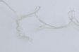 (image for) LED twinkle light foreign trade small lights flash 10 meters waterproof lights the stars