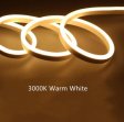 (image for) 65.6FT (20Meters) LED Neon Rope Lights 8x16(mm) Neon LED Strip Lights 8Watt 120LEDs/M Flexibl 110V/220V AC Rope Lights Waterproof, Custom Cuttable Neon Lighting for In&Outdoor