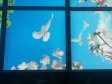 (image for) 5 PACK LED Skylight 1x4FT - 300*1200mm 36W 3060LM Blue Sky LED Flat Panel Light Framed For Ceiling Decoration