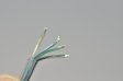 (image for) 22AWG 35cm Waterproof 4pin LED Connector Transparent Line Waterproof Female And Male LED Connector