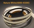 (image for) 12V 2835LED DOUBLE ROW STRIP LIGHT 480LEDS/METER 12V2835 LOW VOLTAGE HIGH BRIGHTNESS STRIP LIGHT 5M (16.4FT) 2835STRIP LIGHTSS