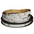 (image for) 12V2835 8MM CASING DOUBLE PANEL LED STRIP LIGHT 60LEDS/METER LOW VOLTAGE HIGH BRIGHTNESS STRIP LIGHT 5M (16.4FT) 300LEDS 2835STRIP LIGHTS