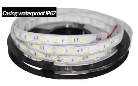 (image for) 12V5050 BARE BORAD LED STRIP LIGHT 60LEDS/METER 12V5050 LOW VOLTAGE HIGH BRIGHTNESS STRIP LIGHT 5M (16.4FT) 300LEDS 5050STRIP LIGHTSS