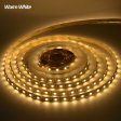 (image for) 12V5050 BARE BORAD LED STRIP LIGHT 60LEDS/METER 12V5050 LOW VOLTAGE HIGH BRIGHTNESS STRIP LIGHT 5M (16.4FT) 300LEDS 5050STRIP LIGHTSS