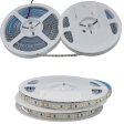 (image for) 20M NO VOLTAGE DROP LED SOFT LIGHT WITH 24V2835 ENGINEERING LOW VOLTAGE 6W10MM FLEXIBLE LINE LIGHT