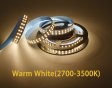 (image for) 12V 2835LED DOUBLE ROW STRIP LIGHT 240LEDS/METER 12V2835 LOW VOLTAGE HIGH BRIGHTNESS STRIP LIGHT 5M (16.4FT) 2835STRIP LIGHTSS