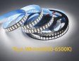 (image for) 12V 2835LED DOUBLE ROW STRIP LIGHT 240LEDS/METER 12V2835 LOW VOLTAGE HIGH BRIGHTNESS STRIP LIGHT 5M (16.4FT) 2835STRIP LIGHTSS