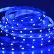 (image for) 5V 2835LED SMD STRIP LIGHT 60LEDS/METER LOW VOLTAGE HIGH BRIGHTNESS STRIP LIGHT 5M (16.4FT) 300LED
