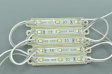 (image for) 3528 SMD LED Modules 3528 3 LED Modules 66x12x5MM 12V 0.5W Waterproof IP65 Modules